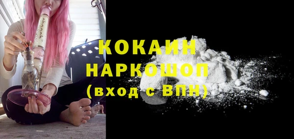 индика Богданович