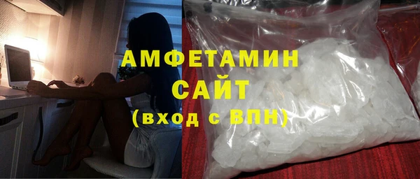 индика Богданович