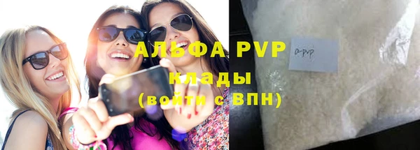 индика Богданович