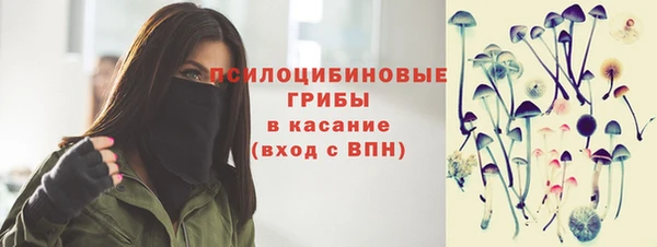 индика Богданович