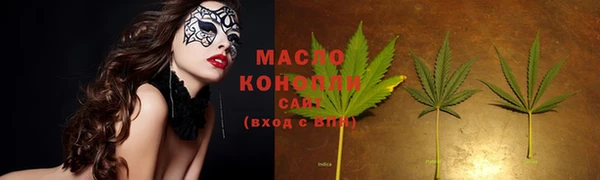 индика Богданович