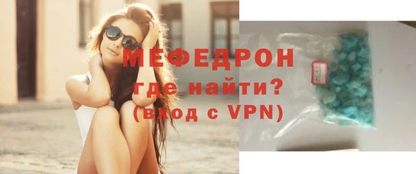 индика Богданович