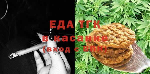индика Богданович