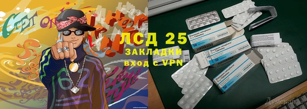 индика Богданович