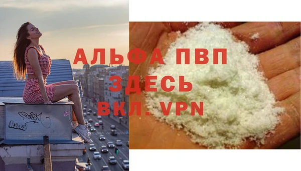 индика Богданович