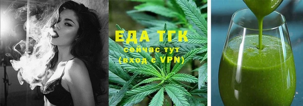 индика Богданович
